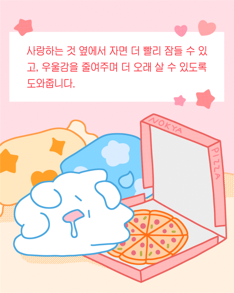 피자의효능